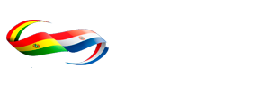 www.camaraboliviaparaguay.com